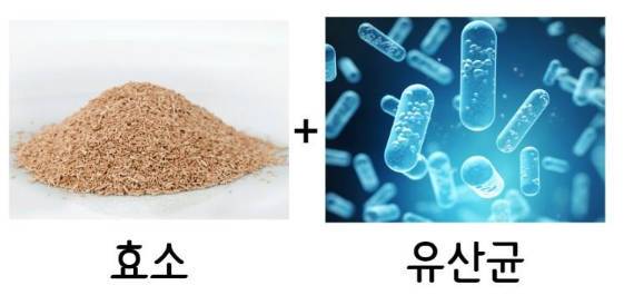 게시글 사진